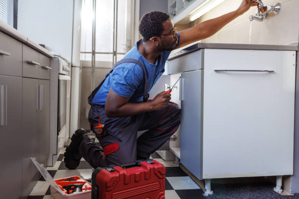 Best Plumbing Services Near Me  in North Merritt Island, FL